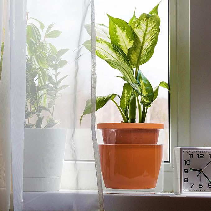 D'vine Dev 6 Inch Design Self Watering Pot for Indoor Plants, Terracotta Planter with Cylinder Glass Cup, Set of 1, 37-X-B-1