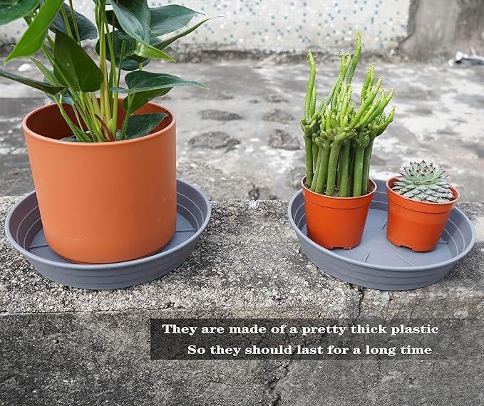 Plant Saucer 8 Inch 4 Pack 6 8 10 12 14 16 18 20 25, Plastic Plant Trays for Pots，Extra-Deep Plant Water Dray Tray, Bird Bath Bowl, Heavy Flower Plant saucers Indoors and Outdoor No Holes 8in-4 grey