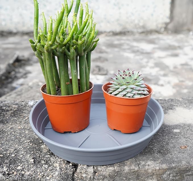 Plant Saucer 6 Inch 4 Pack 6 8 10 12 14 16 18 20 25, Plastic Plant Trays for Pots，Extra-Deep Plant Water Dray Tray, Bird Bath Bowl, Heavy Flower Plant saucers Indoors and Outdoor No Holes 6in-4 grey