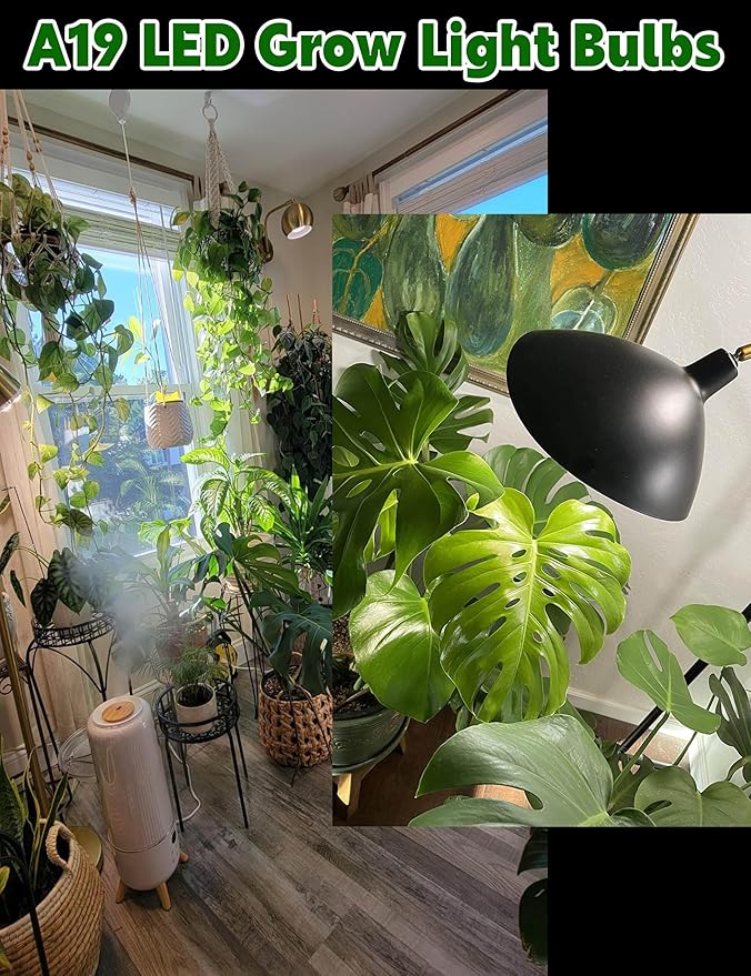 Grow LED Light Bulbs Full Spectrum, E12 12W Small Candelabra Plant Growing Bulbs 100w Equivalent, Balanced Spectrum 5000K Blue Red Sun Grow Plant Bulbs for Flowers,Seed Starting,Indoor Growing,6Pcs