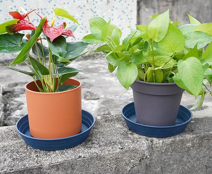 Plant Saucer 6 Inch 4 Pack 6 8 10 12 14 16 18 20 25, Plastic Plant Trays for Pots，Extra-Deep Plant Water Dray Tray, Bird Bath Bowl, Heavy Flower Plant saucers Indoors and Outdoor No Holes 6in-4 blue