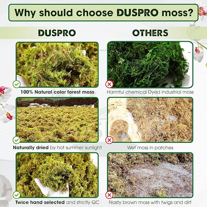 DUSPRO Dried Moss for Potted Plants, Forest Orchid Moss for Potting Mix, Sphagnum Potting Moss for Plants Indoor, Real Moss Soil Cover for Houseplant (5 OZ)