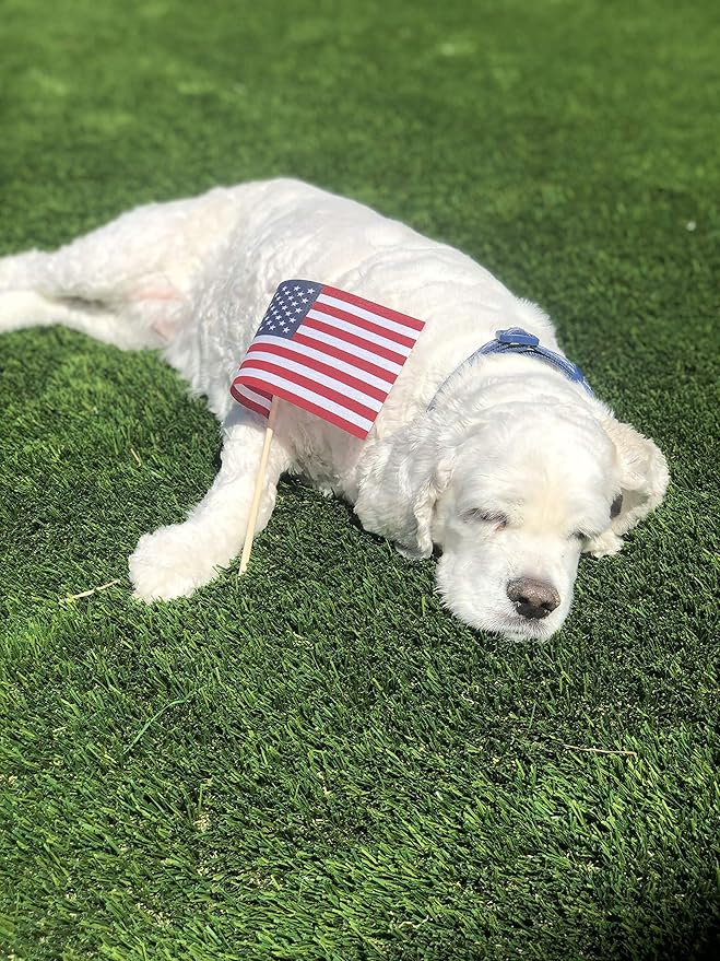 American Flags on Stick - Handheld Spearhead US Flag for 4th of July, Memorial Day Event Decorations - Patriotic Decor for Indoors & Yard - Wooden Stick, Cotton Fabric - (4"X6" - 144 Pack)