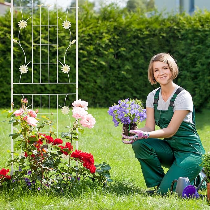 LZRS 4 Pack 71x20in Rustic Iron Arch Decoration Garden Trellis with Black Metal Coating – Perfect for Supporting Climbing Plants Outdoor, Roses, Vines, Flowers, and Vegetables.