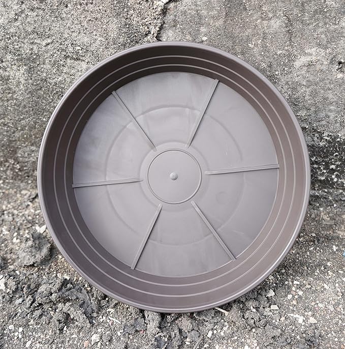 Plant Saucer 6 Inch 4 Pack 6 8 10 12 14 16 18 20 25, Plastic Plant Trays for Pots，Extra-Deep Plant Water Dray Tray, Bird Bath Bowl, Heavy Flower Plant saucers Indoors and Outdoor No Holes 6in-4 brown