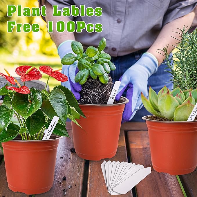 TDHDIKE 6 Inch Plastic Plant Nursery Pot/Pots (100pcs Pots and 100pcs Plant Labels) Seedlings Flower Plant Container (Red) Seed Starting Pots Indoor Outdoor