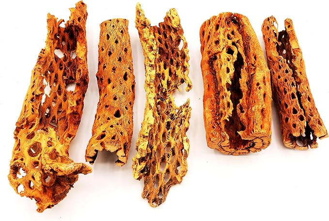 Natural Cholla Wood Chunk Large Air Plant Display Holders Individually Unique Decorative Stands or Holder (Cholla Chunk Extra Large)