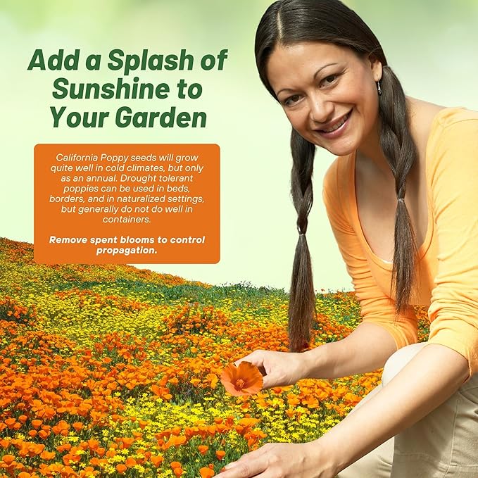 Outsidepride Eschscholzia Orange California Poppy Seeds - 5000 Pcs Annual, Native, Drought Tolerant Wildflower Seeds w/Vibrant Blooms for Full Sun & Drought-Tolerant Pollinator-Friendly Gardens
