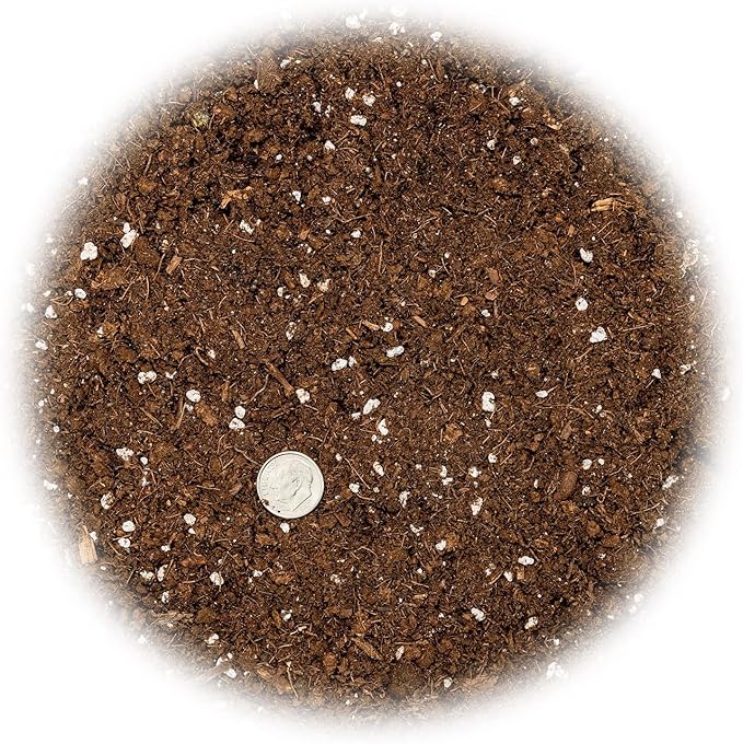 Healthy Soil, Juicy Mandarins - Gardenera's Soil Mix is a Must-Have for Citrus Lovers! - 10 Quart