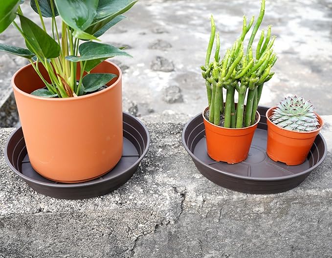 Plant Saucer 14 Inch 4 Pack 6 8 10 12 14 16 18 20 25, Plastic Plant Trays for Pots，Extra-Deep Plant Water Dray Tray, Bird Bath Bowl, Heavy Flower Plant Saucers Indoors and Outdoor No Holes