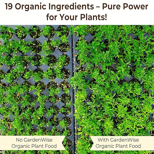 Organic Liquid Plant Food for Indoor Houseplants – All Purpose Fertilizer for Potted Plants, Vegetables, Succulents, Orchids, Roses – Miracle Growth with Mycorrhizae (32 oz)