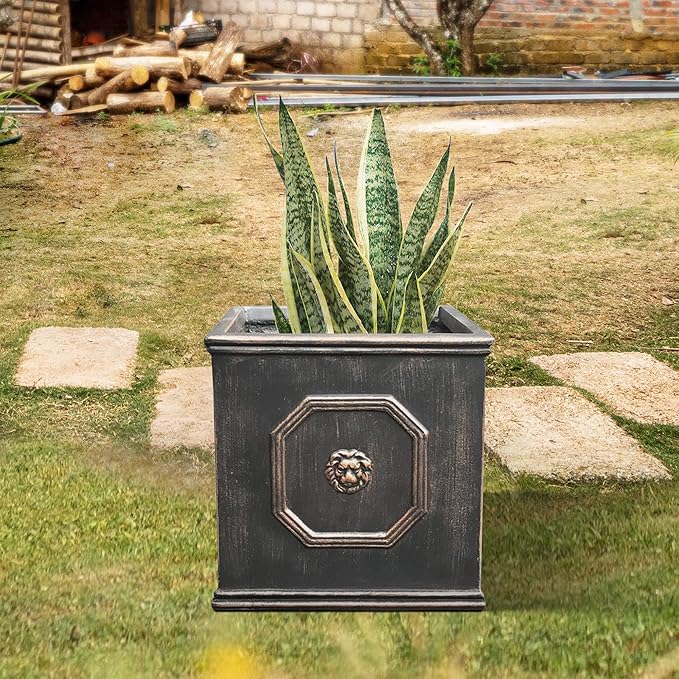 Kante Square Lion Head Concrete Planter, Classic English Style Plant Pot with Drainage Hole and Rubber Plug for Indoor Outdoor Garden Patio Home, 12.6"x12.6"x12.6" Oil Rubbed Bronze