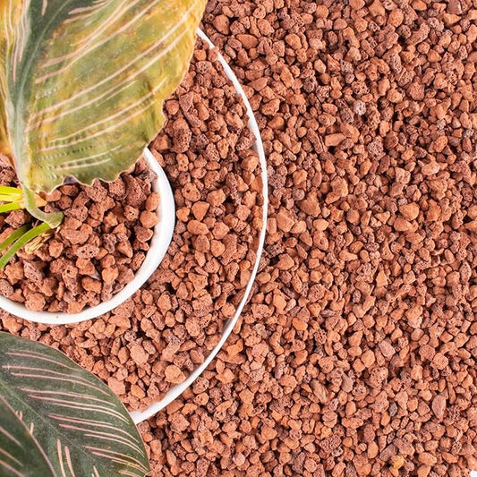 14LB Red Horticultural Lava Rocks Soil for Decorative Landscaping Bonsai, Cacti, Succulents Plants Top Dressing