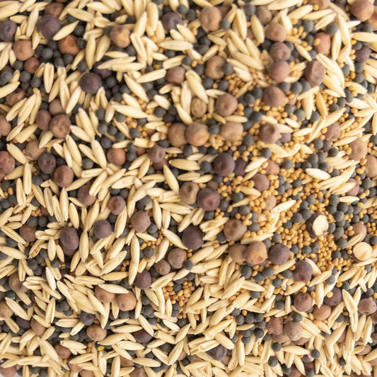 Cover Crop Seed Mix Organic - Pollinator & Bee Friendly Cover Crop Mix - 1/4 lb ~3,800 Seeds - Clover Cover Crop Blend - Includes Hairy Vetch Cover Crop Seeds, Crimson Clover, Peas, & Oats