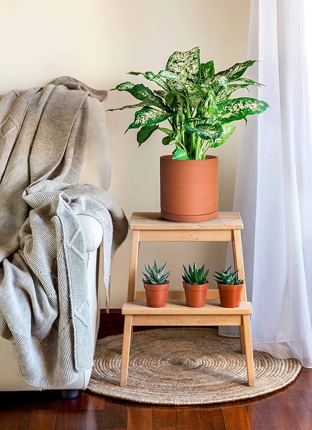 D'vine Dev Large 10 Inch Terracotta Plant Pot with Drainage Hole and Saucer, Round Cylinder Planter Pot for Indoor Plants, 40-X-A-5