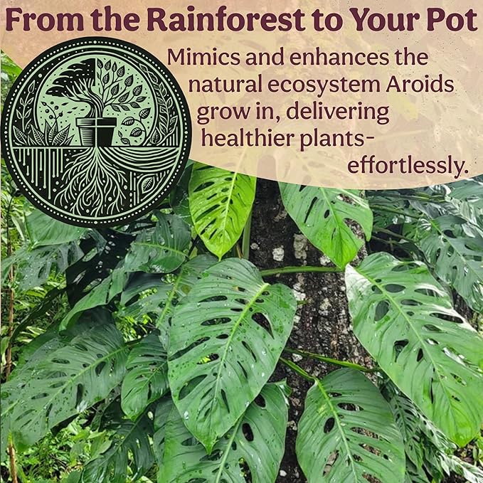 Craft Aroid Potting Mix- Elite Alocasia, Philodendron, Monstera Soil Mix, Chunky, Well Draining Potting Soil for Indoor Plants, All Tropical Plants & Houseplants, Synthetic & Peat Free 4QT