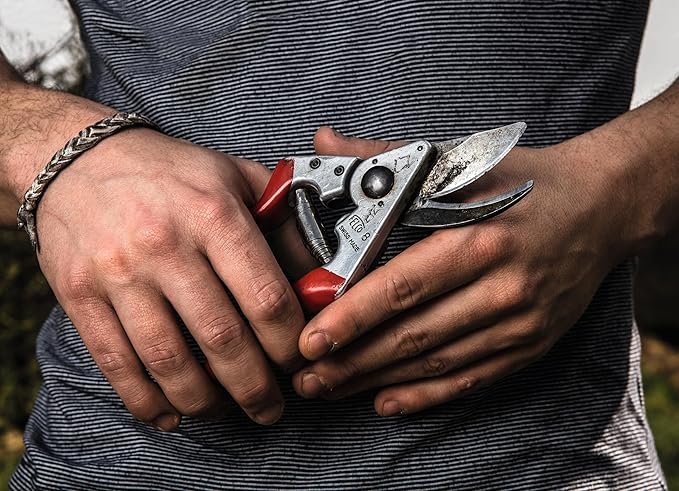 FELCO F8 Pruning Shears – 8.3" Swiss-Made Garden Clippers for Large Right Hands | Ergonomic Comfort | Hand Pruners for Gardening | Garden Tool Cutter with Precision Bypass Blade, Aluminum Handles