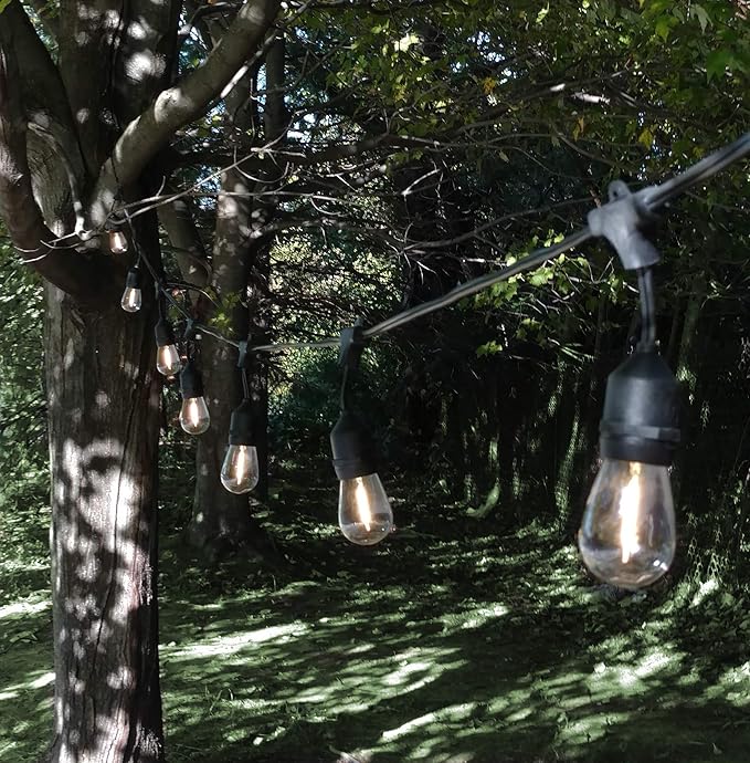 Hometown Evolution, Inc. 100 Foot E26 LED Outdoor Commercial String Lights with 50 Suspended Sockets and S14 LED Filament 1 Watt Bulbs