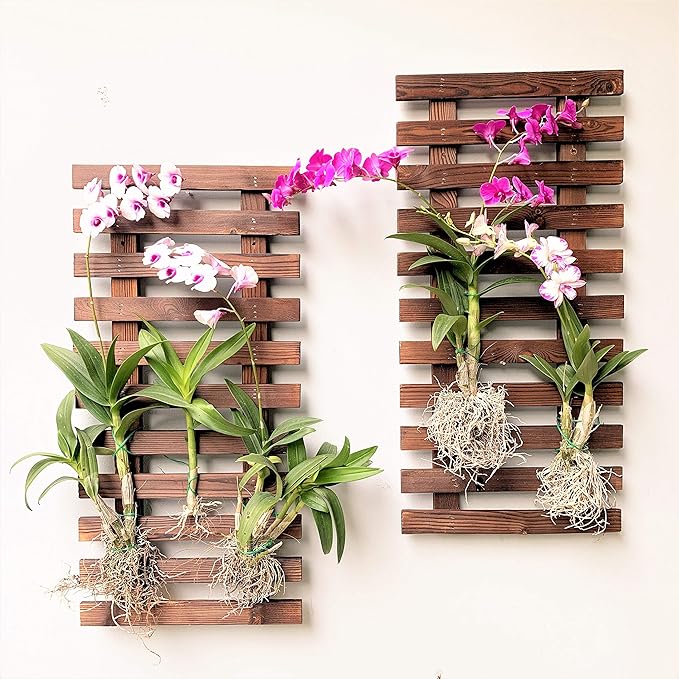 ShopLaLa Wall Planter - 2 Pack Wooden Hanging Planter for Indoor Plants Wall Mount Plant Stand Ladder Outdoor Vertical Garden Unique Live Orchid Planter Holder Display Large Wall Decor 23.6" (60cm)