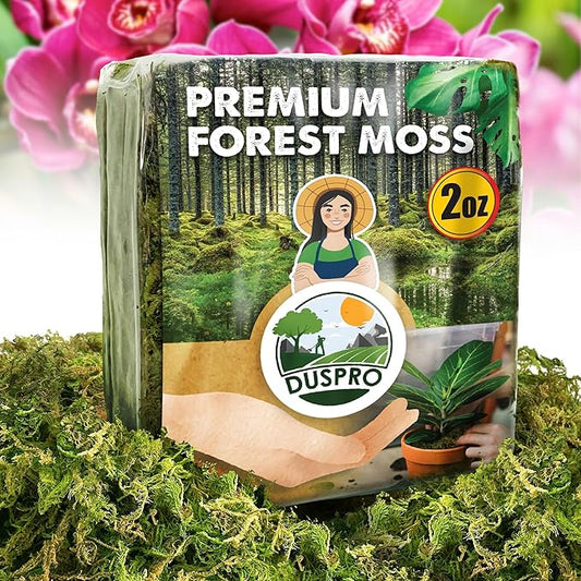 DUSPRO Dried Moss for Potted Plants, Forest Orchid Moss for Potting Mix, Sphagnum Potting Moss for Plants Indoor, Real Moss Soil Cover for Houseplant (2 OZ)