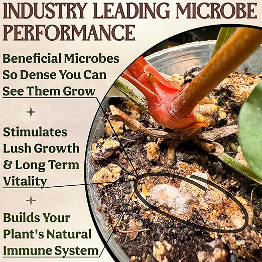 All-in-One Complete Organic Plant Food, Indoor Plant Food for Houseplants, Organic Fertilizer for Vegetable Gardens, 7 Formulated Single Servings Feeds 14 gal Fast and Slow Release