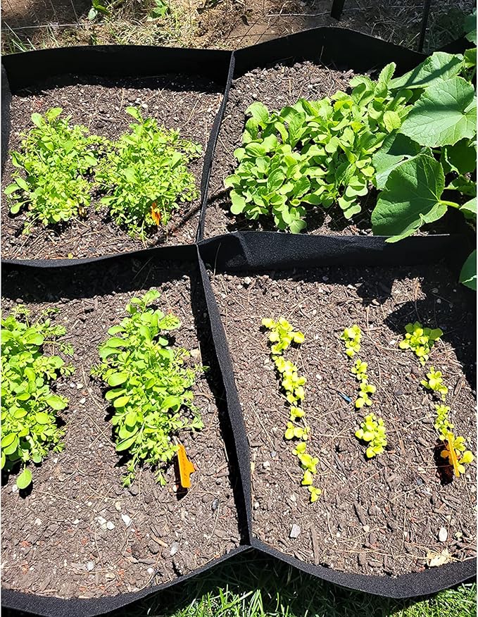 CJGQ Fabric Raised Garden Bed 4x2x1ft Garden Grow Bed Bags for Growing Herbs, Flowers and Vegetables 55 Gallon