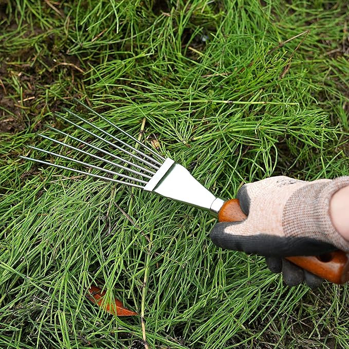 Japanese Hand Rake Garden Tool, Japanese Steel with Wood Handle, Small Rake for Leaves, Handheld Garden Cleaning Tool, Made in Japan, Silver