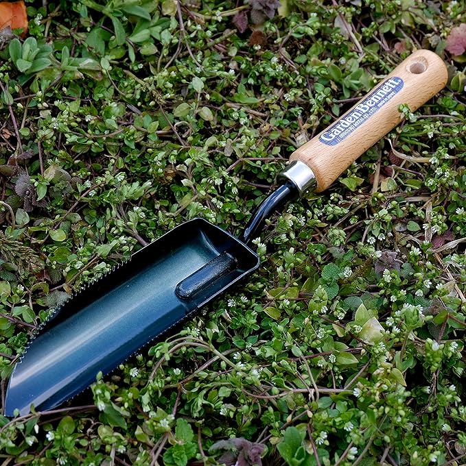 Garden Helper Narrow Garden Trowel Hand Tool, Garden Shovel Serrated Edge for Planting and Transplanting, Heavy Duty Japanese Steel Blade, Wood Handle, Made in Japan